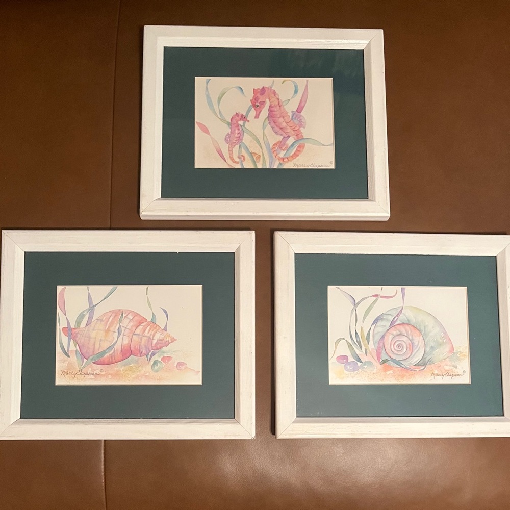 Marcy Chapman Signed Snail Seashell Watercolor Pictures (Set of 3)